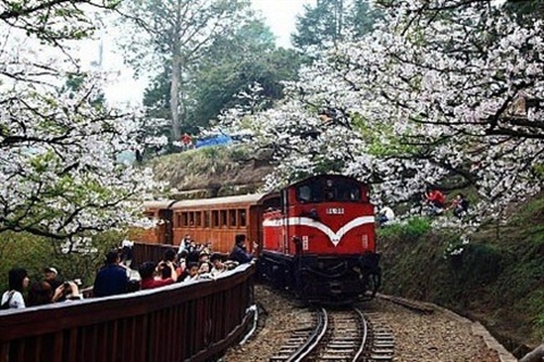 6月6日早安励志心语