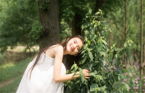 泡一壶清茶唯美句子